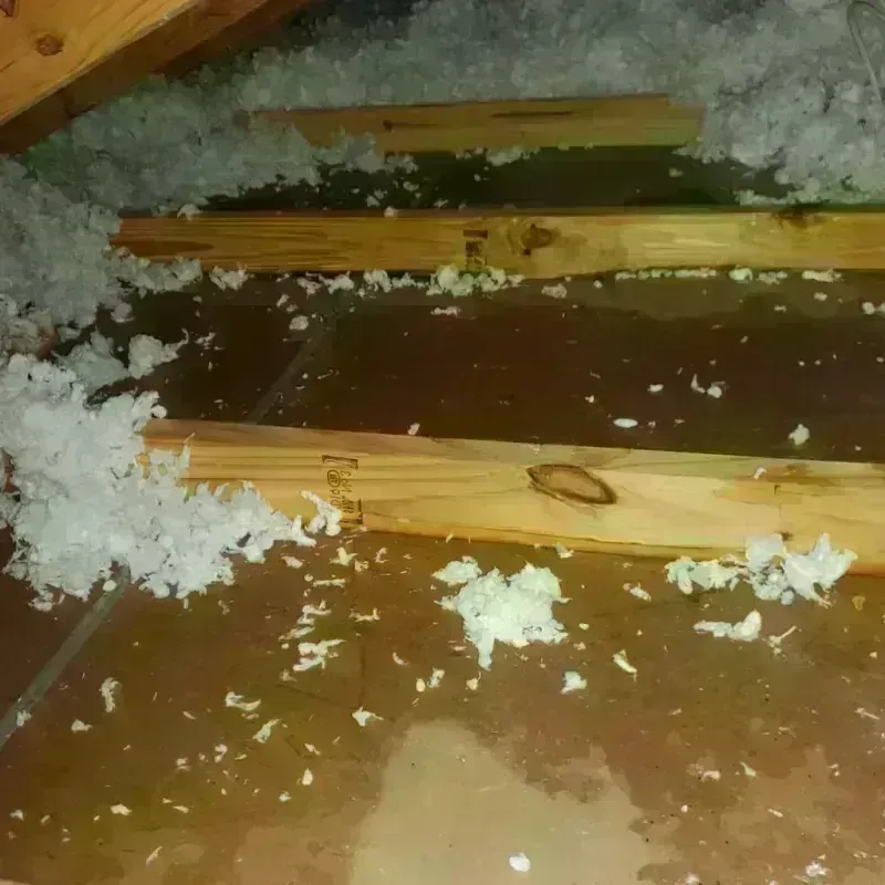 Attic Water Damage in Avoyelles Parish, LA